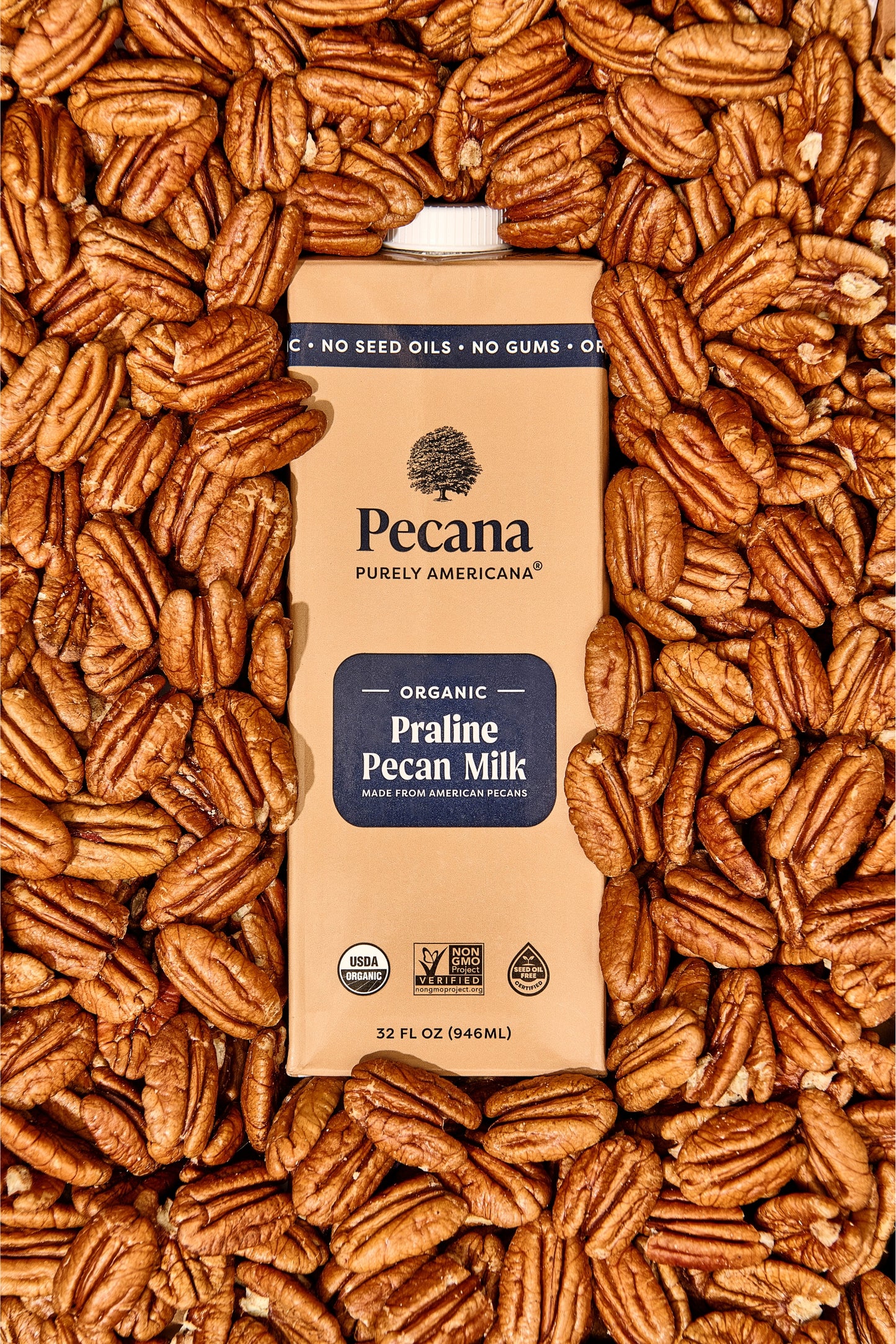 Organic Praline Pecan Milk 3 Pack